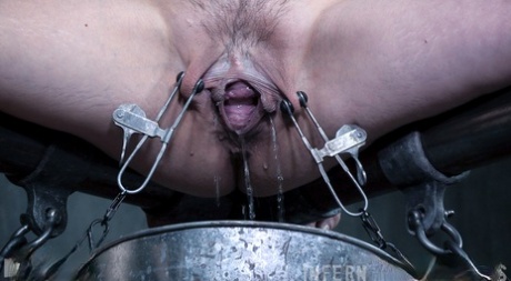 Restrained female Mia Torro has her pussy tortured while being humiliated 78490106